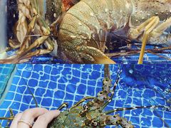 -大东海海鲜酒楼(渔人码头总店)