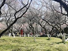 -杭州植物园