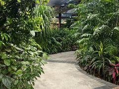 -春满园生态餐厅(南宫路店)