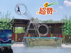 -黄龙溪欢乐田园