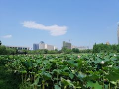 -艾溪湖湿地公园