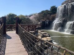 -北岭山森林公园
