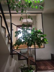 -香秀空间科技抗衰·美容中心