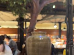 -三强鸽子(中原路店)
