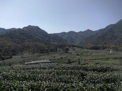 -听风阁农家私房菜茶楼(龙坞店)