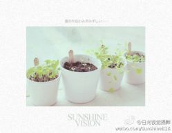 5c4d23d3gw1eims5slbk5j20i20dzacx-日光视觉婚纱摄影(旗舰店)