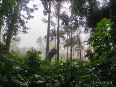 -广州长隆野生动物世界