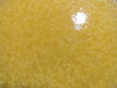 -北方家宴(番禺永旺店)