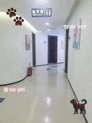 -丰联丽格医疗美容·联合丽格眼整形中心