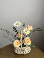 -雪绒花月子会所(万安店)