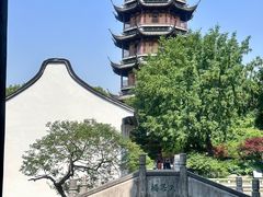 -红梅公园