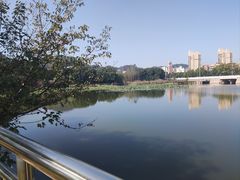 -青龙山国家森林公园