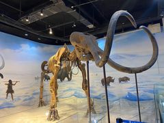-辽宁古生物博物馆