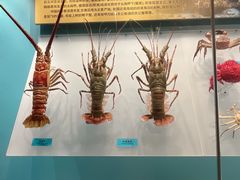 -天津自然博物馆