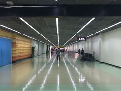 -Boots(廊曼机场店)