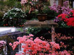 -惠山古镇·寄畅园