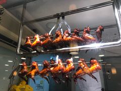 烧鸡翅-丽的面家(多宝路店)