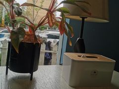 -琥珀川咖啡馆·Amber cafe(百祥路店)