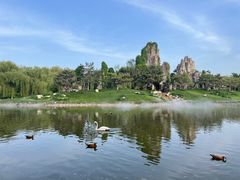 -北京野生动物园