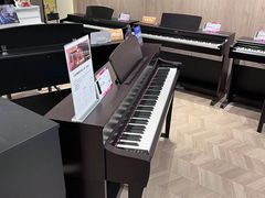 -雅歌音乐培训中心·钢琴培训·乐器培训(交道口店)
