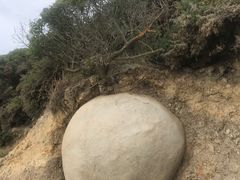 -摩拉基大圆石