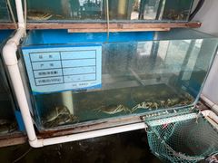-小陆莲花蟹园农家乐(莲花岛店)