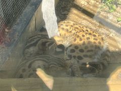 -石家庄市动物园