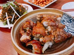 -鸿毛饺子(西直门店)