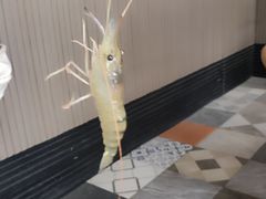 -光头佬室内钓虾场·烧烤·团建·亲子(中山八路店)