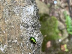 -磐安舞龙峡景区