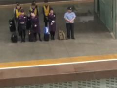 -香港皇家太平洋酒店