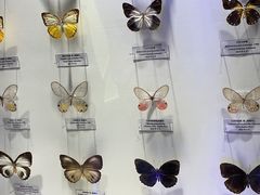 -吉林省自然博物馆