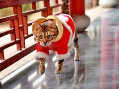 -盛世南宫影视城(北普陀影视城)