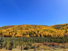 -塞罕坝国家级自然保护区