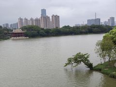 -顺峰山公园
