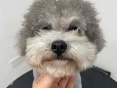 -comecome来吧宠物(奥克斯中心店)