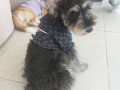 -怪兽屋·羊驼·猫咖·狗咖(俊华广场店)