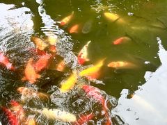 -上海大学(宝山校区)