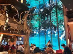 -桂满陇·海市蜃楼·黑金(国金店)