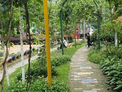 -合肥滨湖国家森林公园