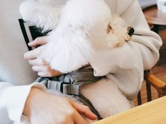 -仰生如卉推拿养生馆(酒仙桥店)