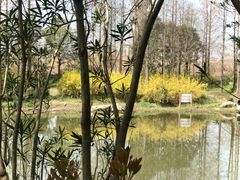 -新江湾城公园
