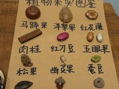 -巍山古城