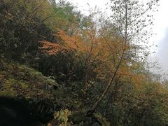 -叠溪松坪沟景区