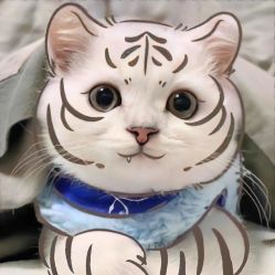 -海豚啵啵体智能游泳馆(惠山万达广场店)