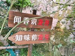-龙井壹号·茶缘山景宴(龙井村店)