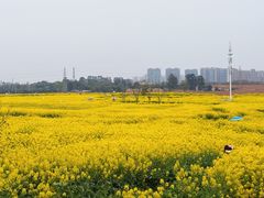 -三圣花乡旅游区