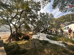 -江心屿景区
