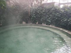 -仁爱团泊湖温泉中心
