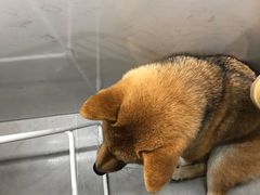 -NOTBAD 须时·咖啡馆
